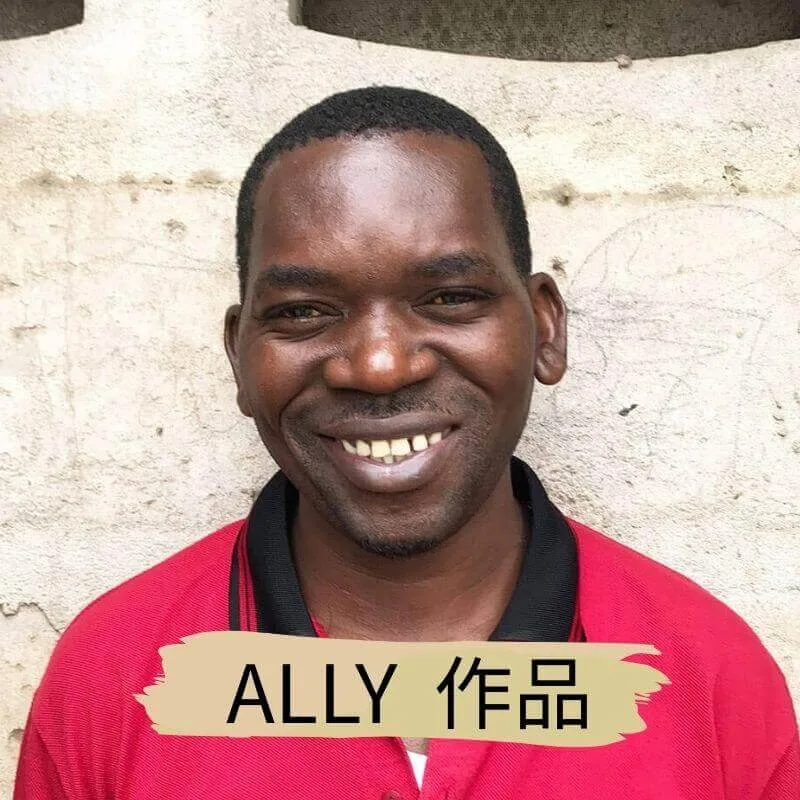 坦尚尼亞畫家 Ally  - 凡卡藝廊