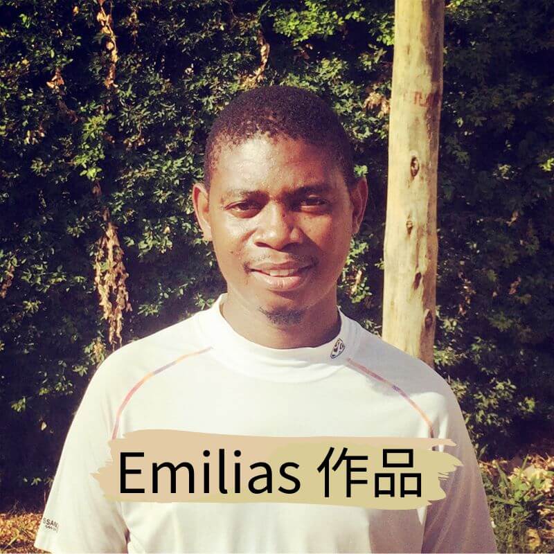 坦尚尼亞畫家 emilias