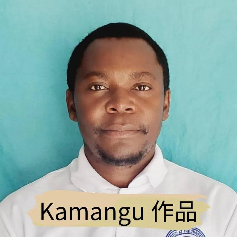 坦尚尼亞畫家 KAmangu  - 凡卡藝廊