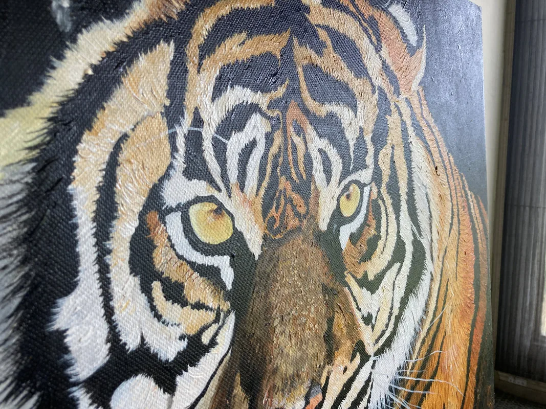 圖片