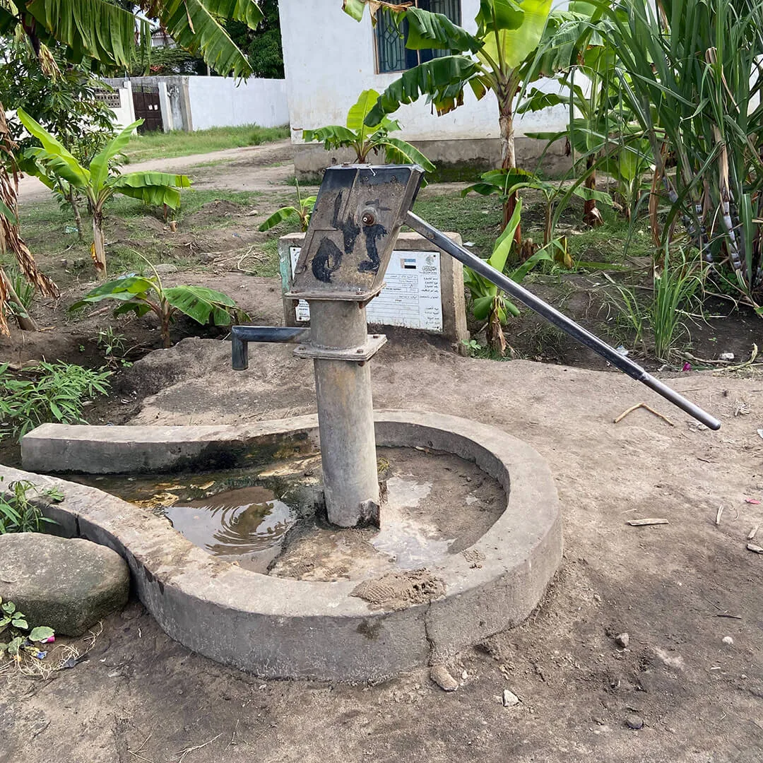 圖片